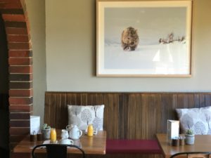 jindy inn snowy mountains accommodation