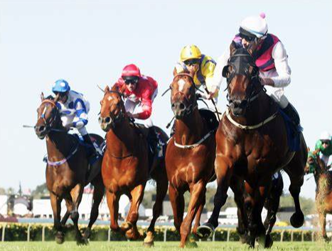 Melb Cup